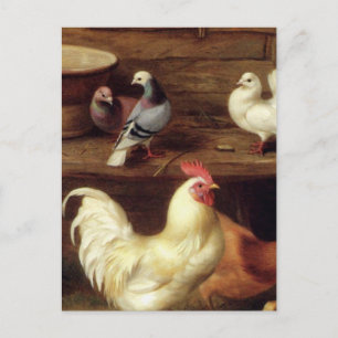 Postal Heno De Cockerel Y Chicas Con Animales De Granja D