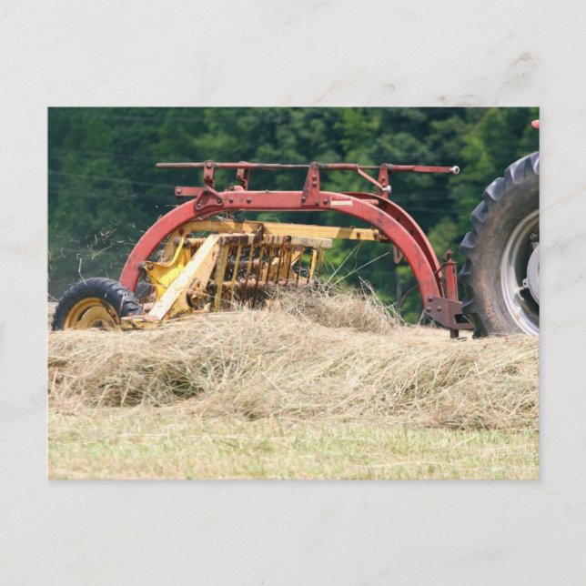 Postal Heno En Curva Con Un Antiguo Pasto (Anverso)