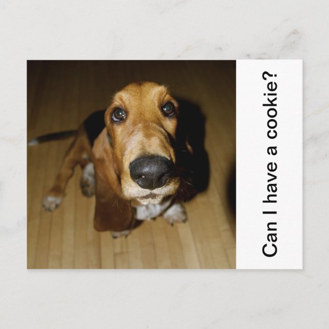 Postal Henry Longfellow (Anverso)