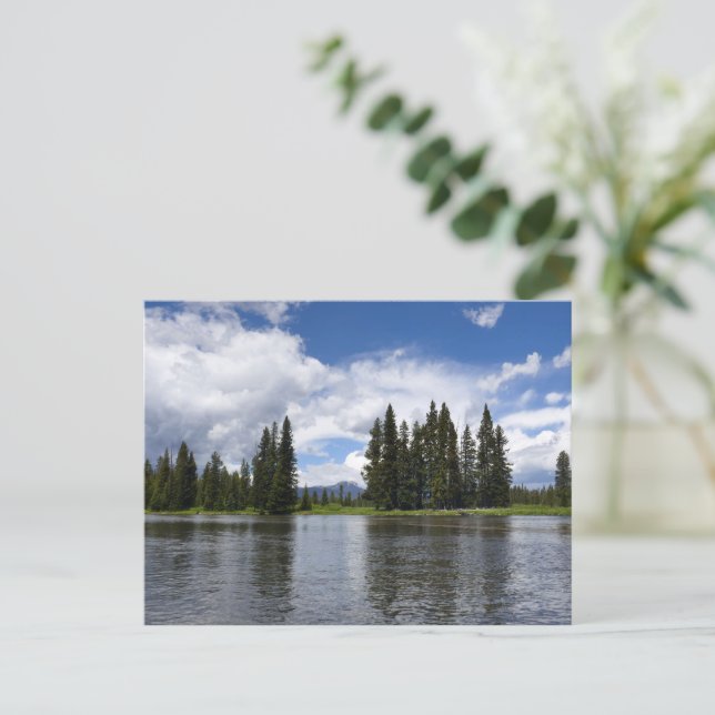 Postal Henrys Fork en el Bosque Nacional Targhee I (Anverso de pie)