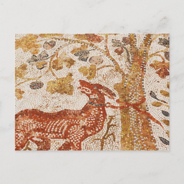 Postal Heraclea Dog Mosaic (Anverso)