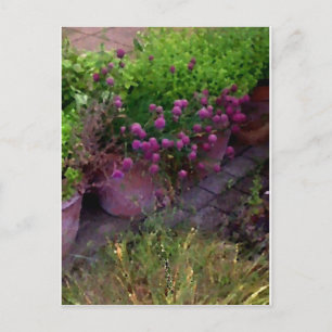 Postal Herb Garden