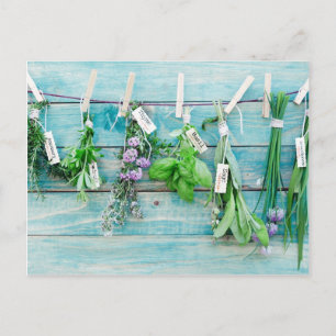 Postal herbáceas sobre la pared de madera pintada de colo