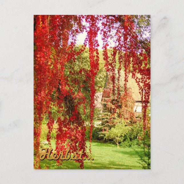 Postal Herbst / Otoño (Anverso)