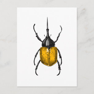 Postal Hercules beetle