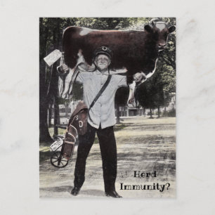 Postal Herd de estilo antiguo Entrega de vaca de inmunida