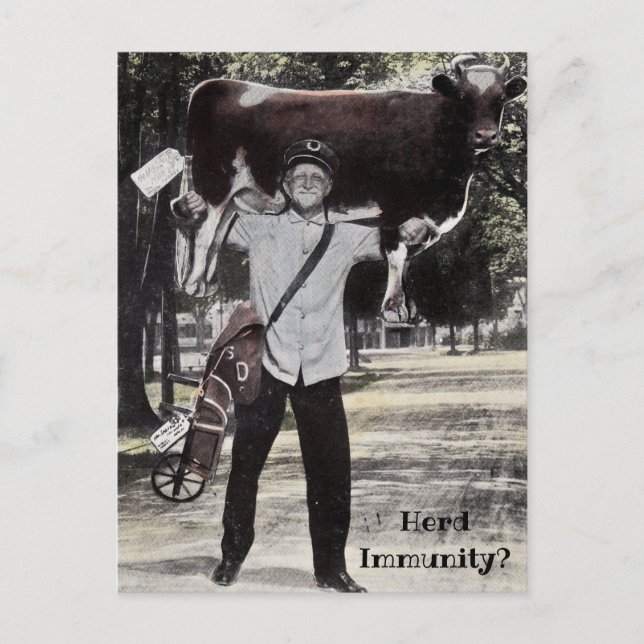 Postal Herd de estilo antiguo Entrega de vaca de inmunida (Anverso)