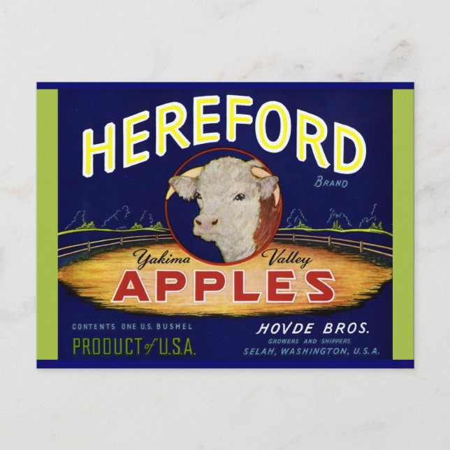 Postal Hereford Washington Apples (Anverso)