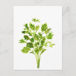 Postal Herencias parsley Plantas acuáticas parsley verdes