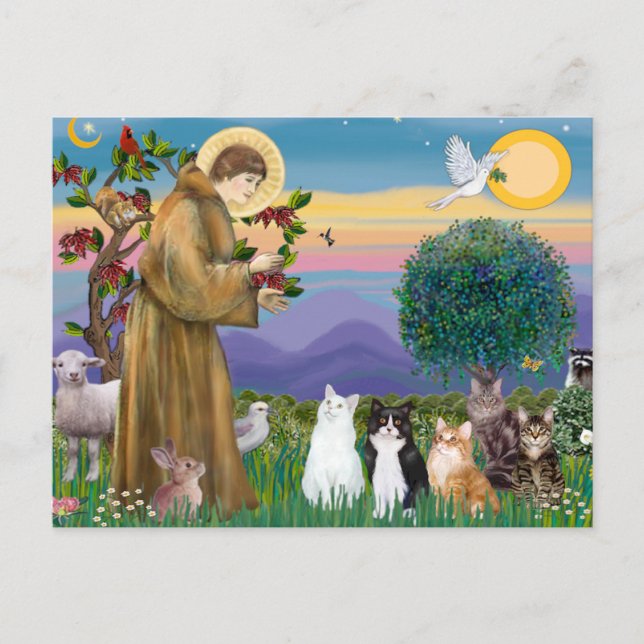 Postal Hermana Frances bendiciendo 5 gatos (Anverso)