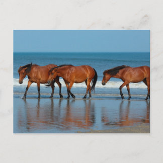 Postal Hermanas de playa