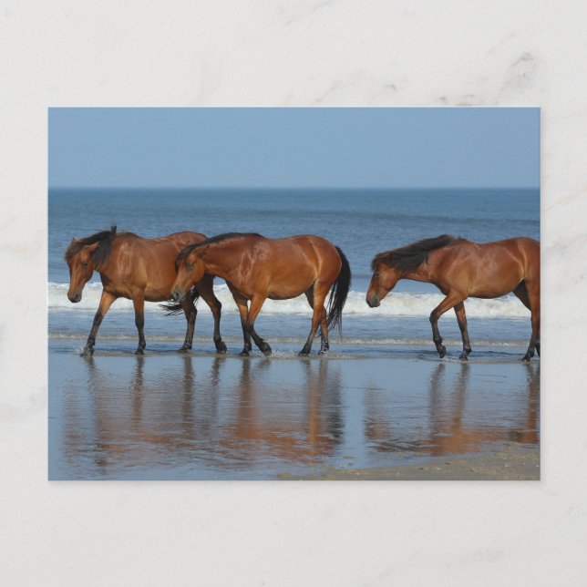 Postal Hermanas de playa (Anverso)