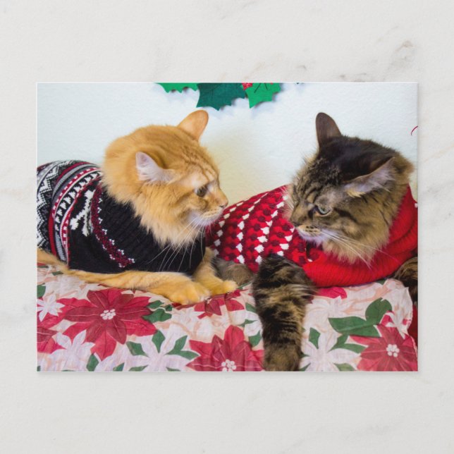 Postal Hermanos (Anverso)