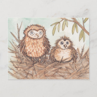 Postal Hermanos de Lechuza Cute
