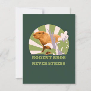 Postal Hermanos Roedores Nunca Estresan Capybara