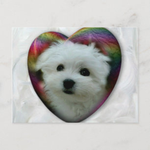 Postal Hermes de Malta