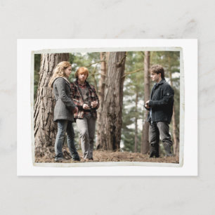 Postal Hermione, Ron y Harry 2