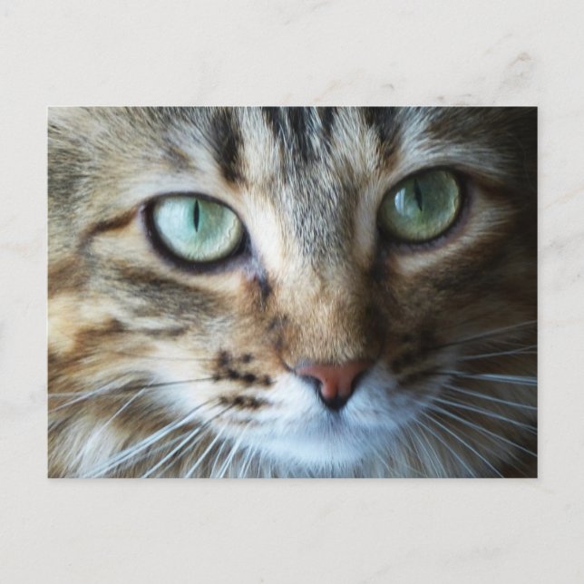 Postal Hermione Up Close (Anverso)