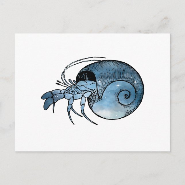 Postal Hermit Crab (Anverso)