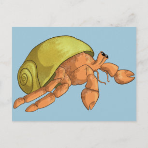Postal Hermit Crab