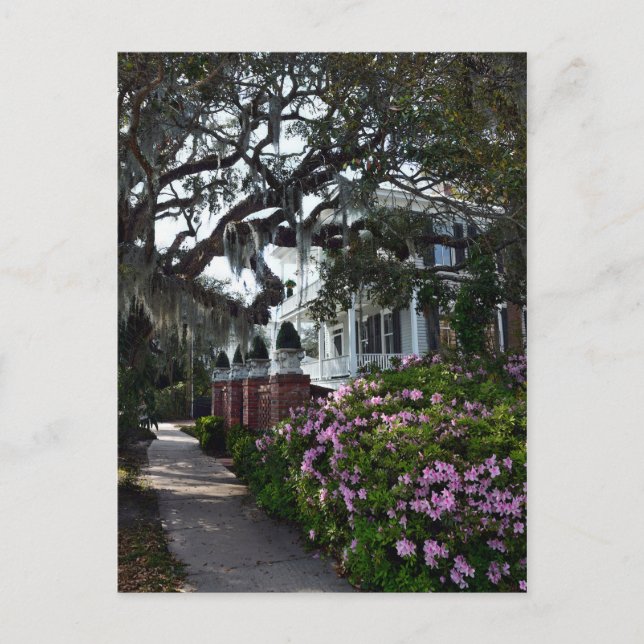 Postal Hermosa bella fortaleza, Carolina del Sur (Anverso)