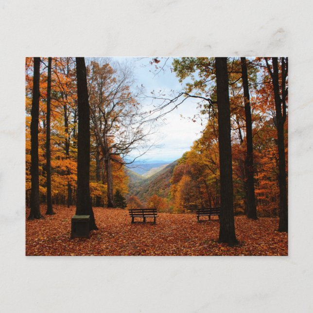 Postal Hermosa caída (Anverso)