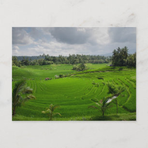 Postal Hermosa campiña de Bali
