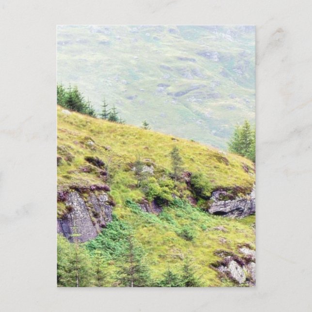 Postal Hermosa campiña escocesa (Anverso)