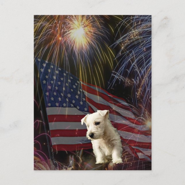 Postal Hermosa celebración de fuegos artificiales - Diseñ (Anverso)