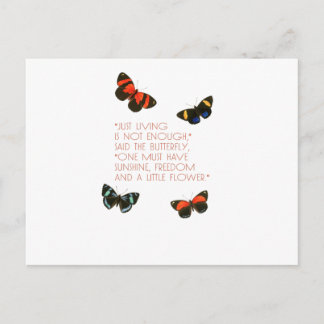 Postal Hermosa cita de mariposa