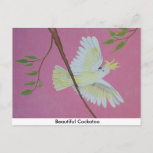 Postal Hermosa Cockatoo