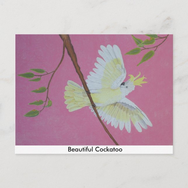 Postal Hermosa Cockatoo (Anverso)