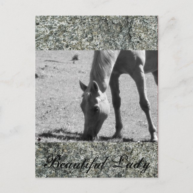 Postal Hermosa dama (Anverso)