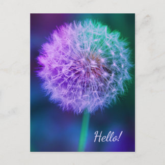 Postal Hermosa Dandelion con fondo azul
