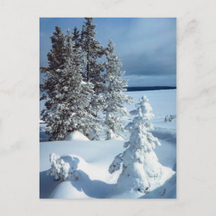 Postal Hermosa escena invernal