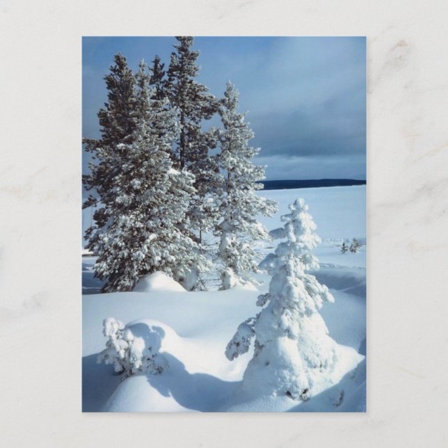 Postal Hermosa escena invernal (Anverso)