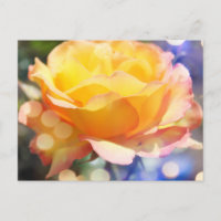 Hermosa flor de rosa amarilla. Fotografía floral.