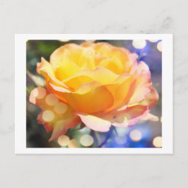 Postal Hermosa flor de rosa amarilla. Fotografía floral.