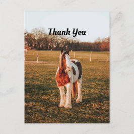 Postal Hermosa foto de caballo de tiro pintado marrón gra