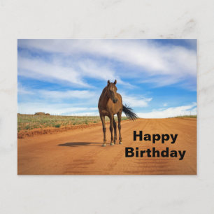 Postal Hermosa foto de cumpleaños de caballo marrón en el