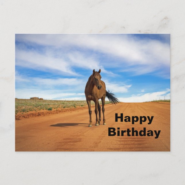 Postal Hermosa foto de cumpleaños de caballo marrón en el (Anverso)