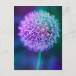 Postal Hermosa foto de Dandelion con fondo azul |