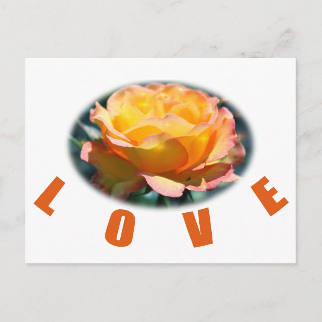 Postal hermosa foto de flor de rosa amarilla arte regalo  (Anverso)
