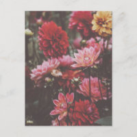 Hermosa fotografía Bella Artes de flores de otoño 