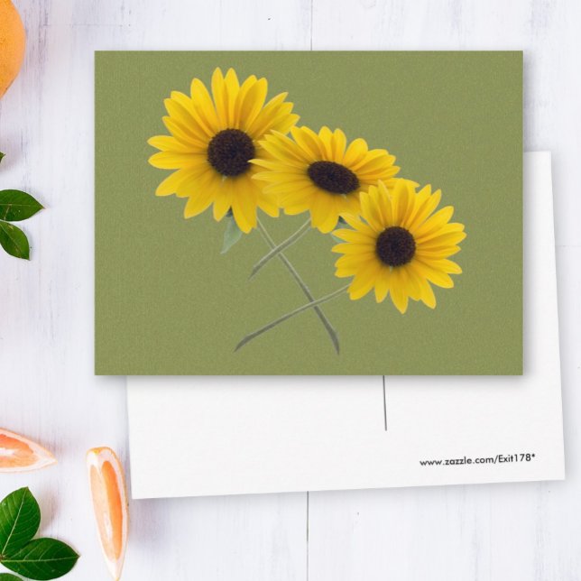 Postal Hermosa Fotografía Triple De Girasol En Verde (three sunflower photo front and blank back postcard)
