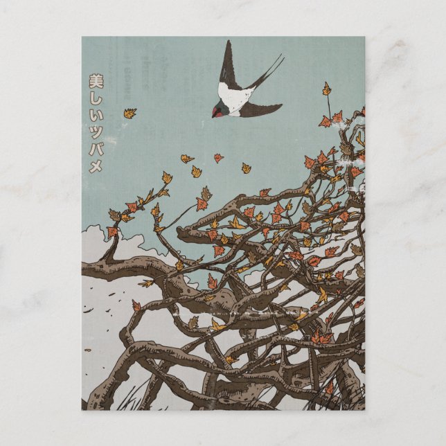 Postal Hermosa golondrina japonesa (Anverso)