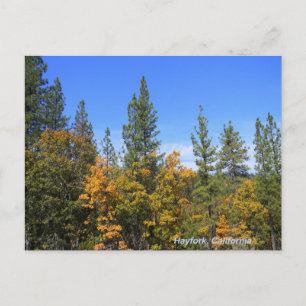 Postal Hermosa Hayfork, California...