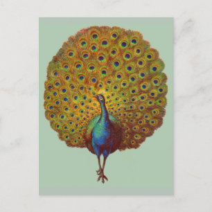 Postal hermosa huella de pavo real victoriana