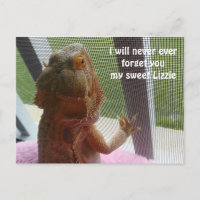 Hermosa imagen conmemorativa de mascota dragón bar