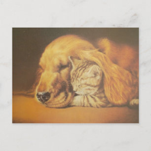 Postal Hermosa Impresión de Arte de Gato y Perro Asombros